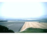 Megiddo - View of Mt Tabor (in centre) - Valley of Jezreel